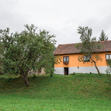 Kuca Za Odmor Jagnjic Apartment Josipdol Exterior foto