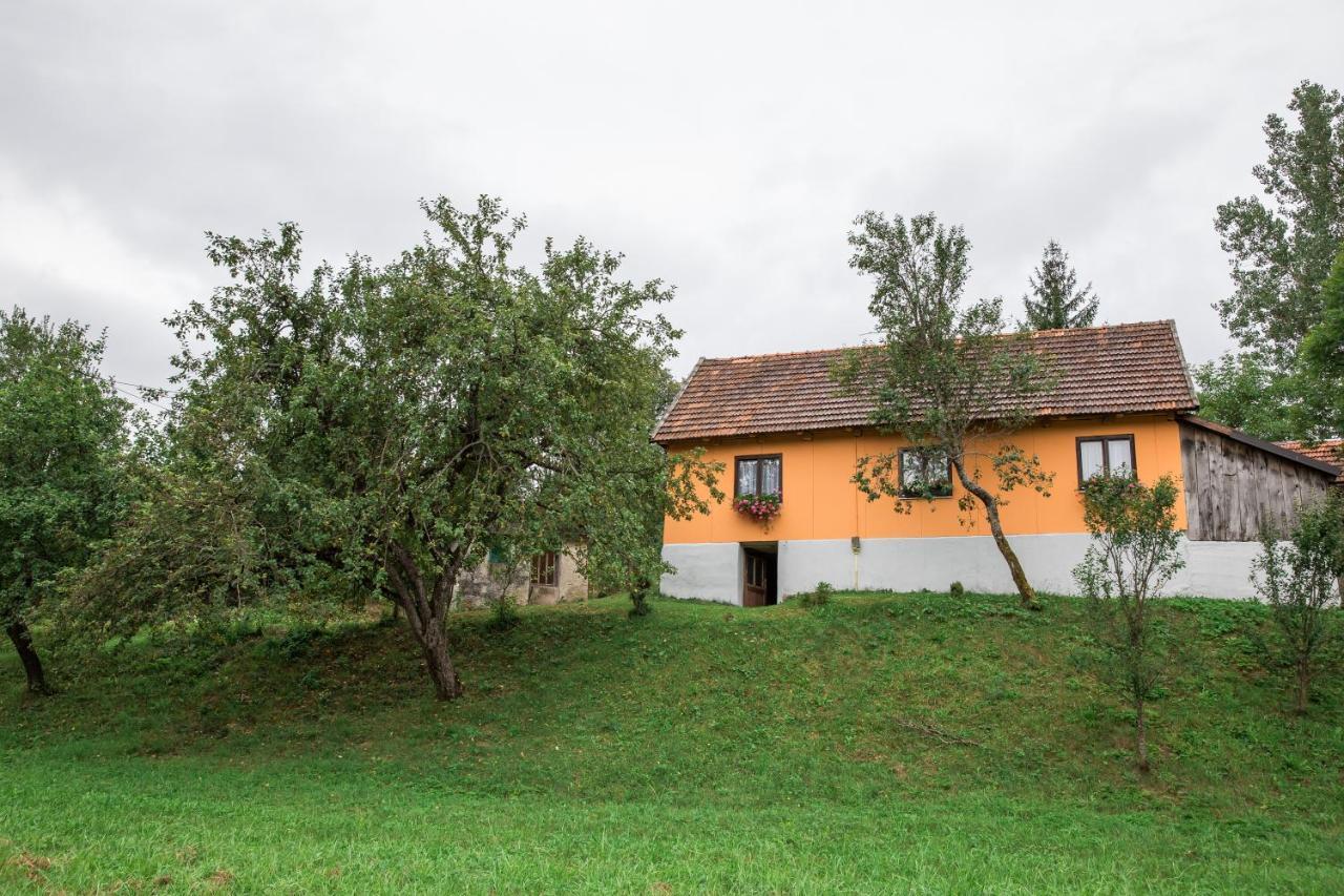 Kuca Za Odmor Jagnjic Apartment Josipdol Exterior foto